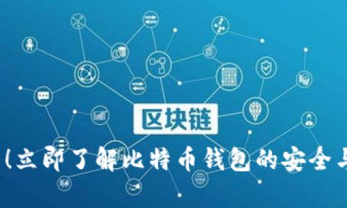 2025必看！立即了解比特币钱包的安全与存储技巧