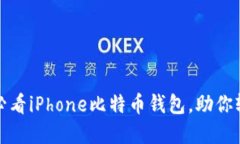 立即下载！2025必看iPhone比特币钱包，助你轻松管