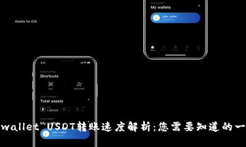 tpwallet USDT转账速度解析：您需要知道的一切
