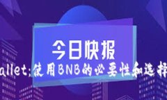 TPWallet：使用BNB的必要性和选择指南