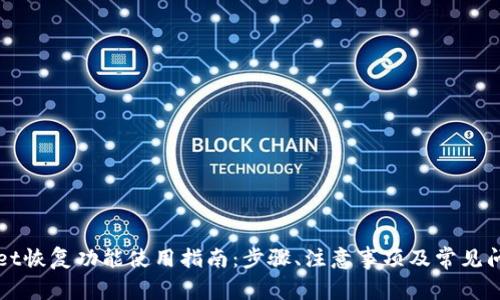 TPWallet恢复功能使用指南：步骤、注意事项及常见问题解析