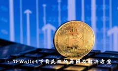 : TPWallet下载失败的原因及解决方案