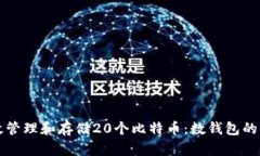 如何有效管理和存储20个比特币：数钱包的全面指