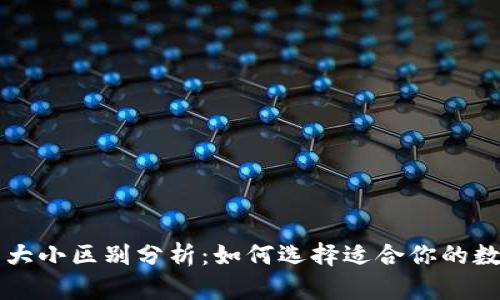 区块链钱包大小区别分析：如何选择适合你的数字资产钱包