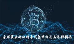 全球最大的比特币钱包网站及其选择指南