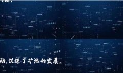 bisai双U矿池与比特儿平台的币种差异与交易策略