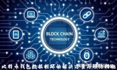 比特币钱包数据损坏的解决方案与预防措施