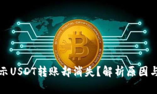 冷钱包显示USDT转账却消失？解析原因与解决方案