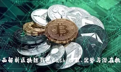 全面解析区块链钱包Cash：功能、优势与潜在挑战