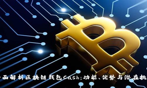 全面解析区块链钱包Cash：功能、优势与潜在挑战